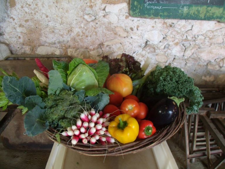 panier légumes bio jardins du verdier